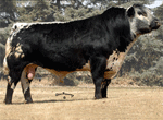 68L