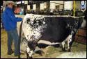 Agribition